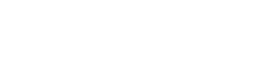 eResilience Logo White